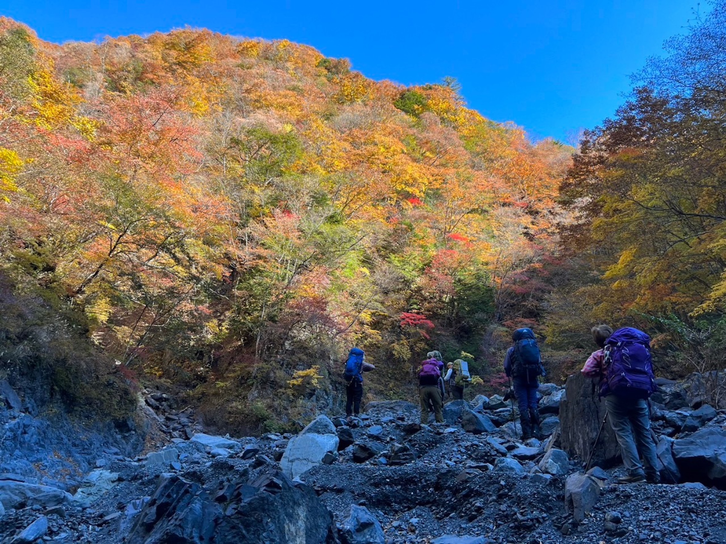 1.紅葉を楽しむ