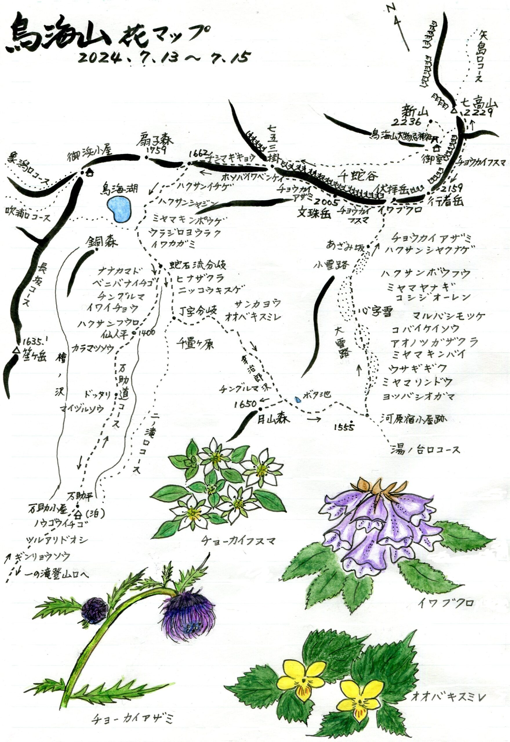 鳥海山花マップ